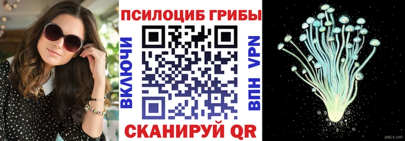 Псилоцибиновые грибы мицелий  Купить закладки  Алдан 